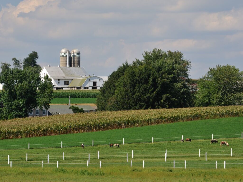 Amish Farm green pastures with animals