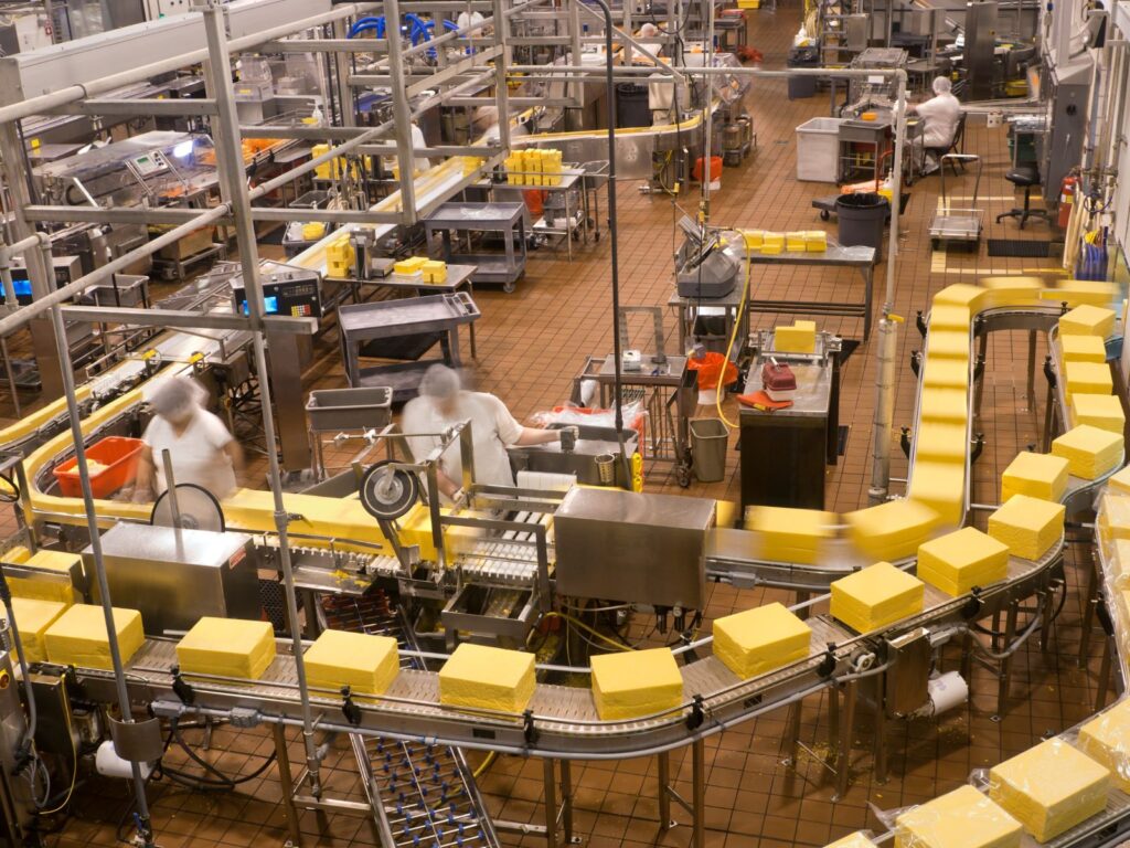 Cheese Factory cheese production line