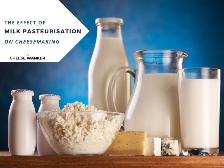 Effect of Pasteurisation on Cheesemaking