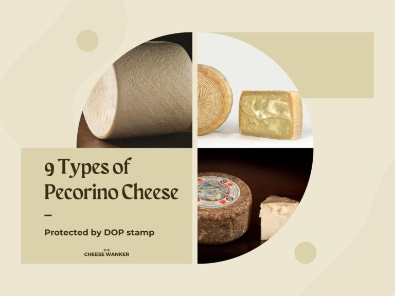 9 Types of Italian Pecorino (Protected by DOP Stamp)