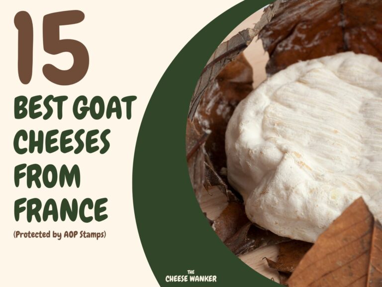 15 Best Goat Cheeses from France