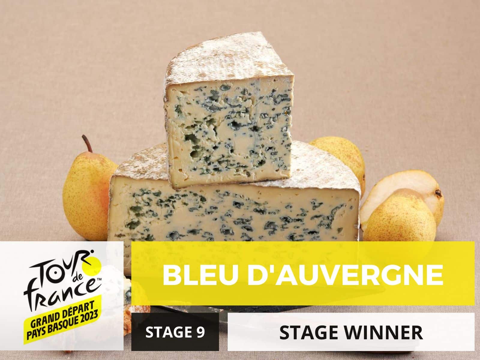 Tdf 23 Stage 9 Bleu d'Auvergne
