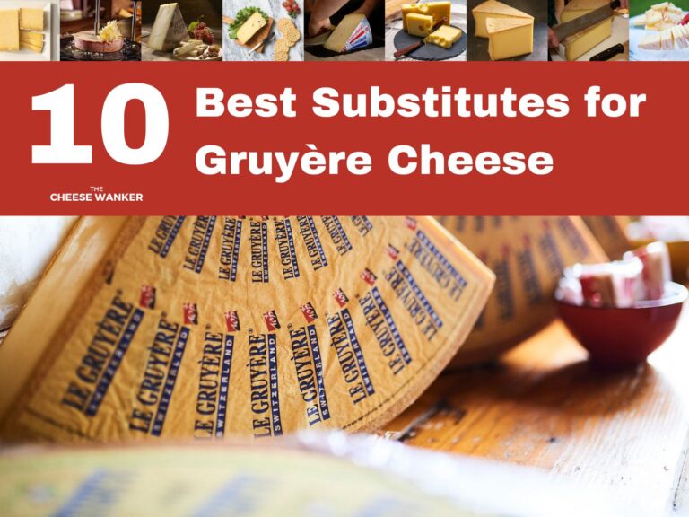 10 Best Substitutes for Gruyère
