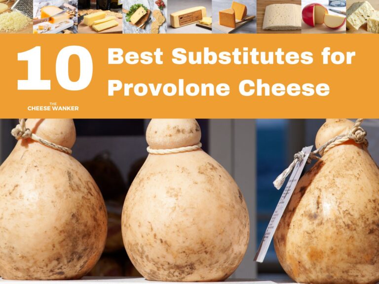 Best Substitutes for Provolone