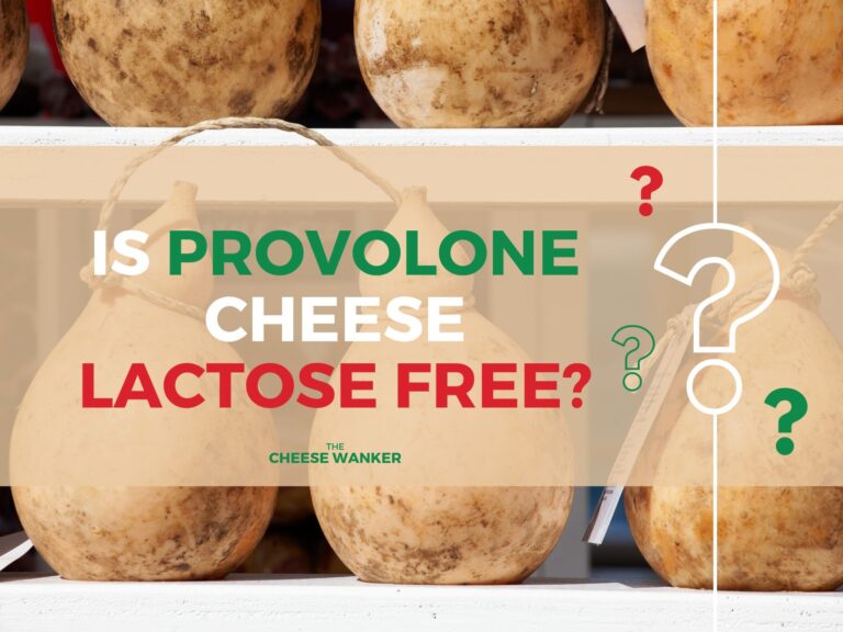 Is Provolone Cheese Lactose Free