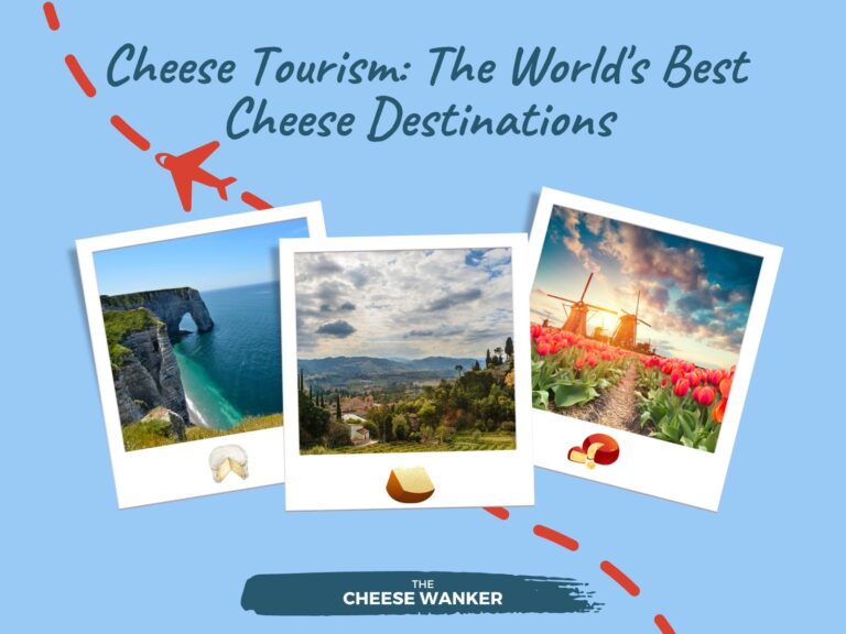 Cheese Tourism The World's Best Cheese Destinations