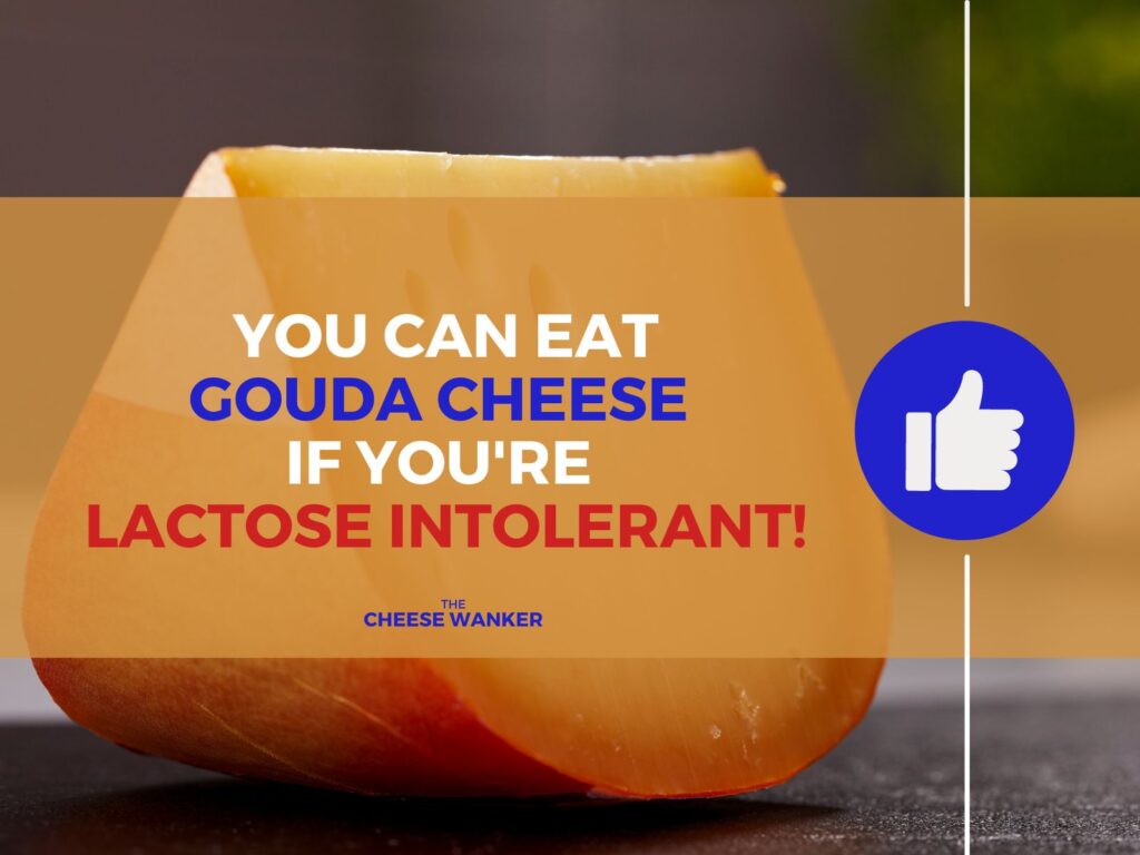 Gouda Can Eat if Lactose Intolerant