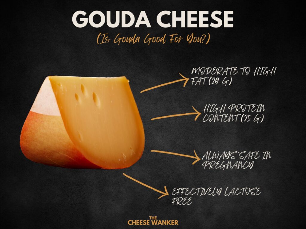 Gouda Cheese FAQ: 18 Most Burning Questions Answered