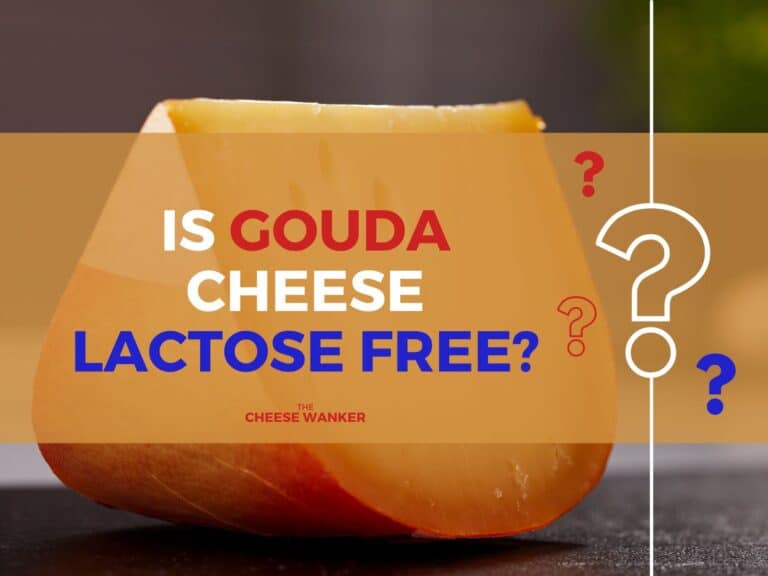 Gouda Lactose Free