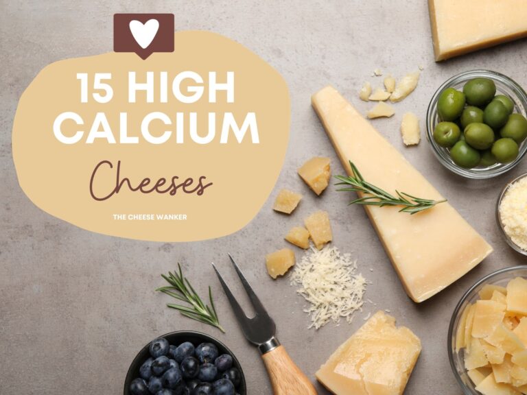 15 Best High Calcium Cheeses (Based on Lab Results)