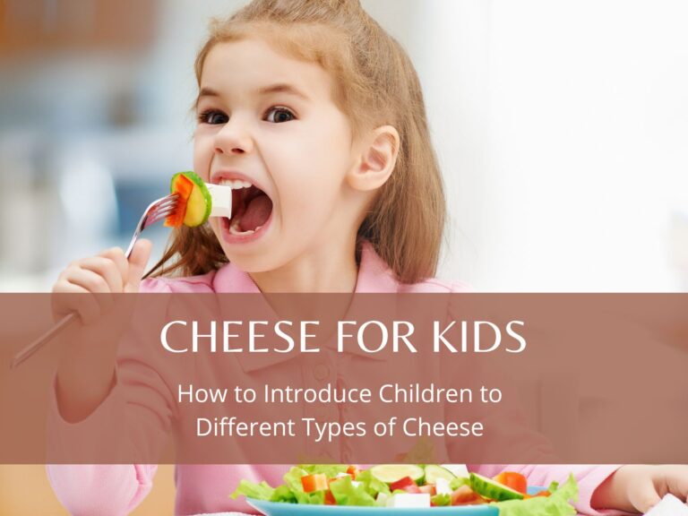 Cheese for Kids How to Introduce Different Types of Cheese
