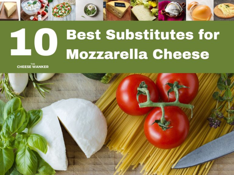 10 Best Substitutes for Mozzarella