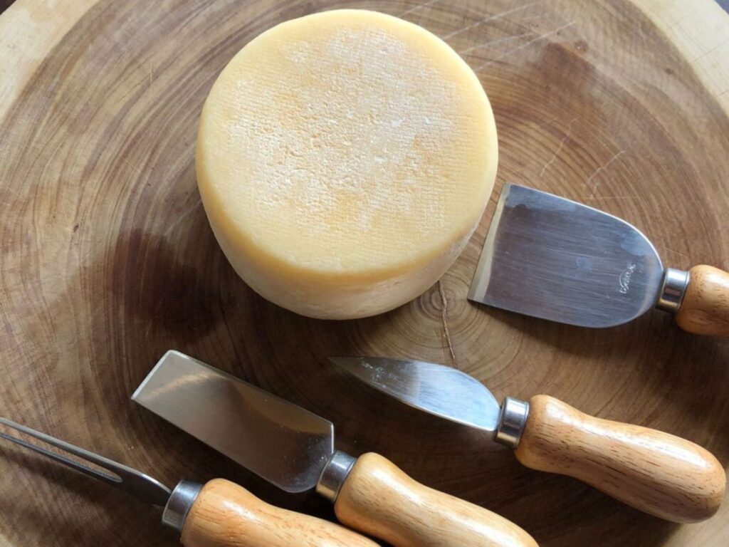 Small format Canastra Merendeiro cheese on wooden board next to cheese knives for scale
