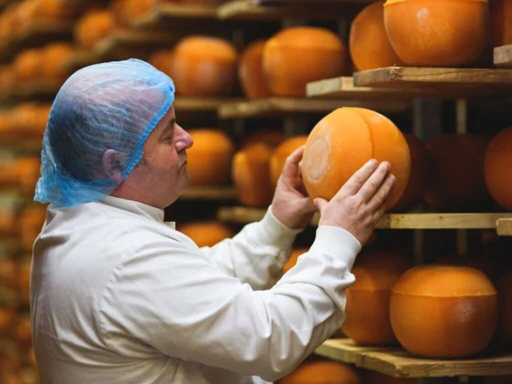Mimolette Producer picking up ball of orange cheese from wooden shelves