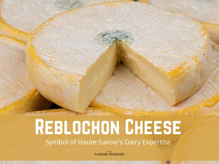 Reblochon Cheese Symbol of Haute-Savoie's Dairy Expertise