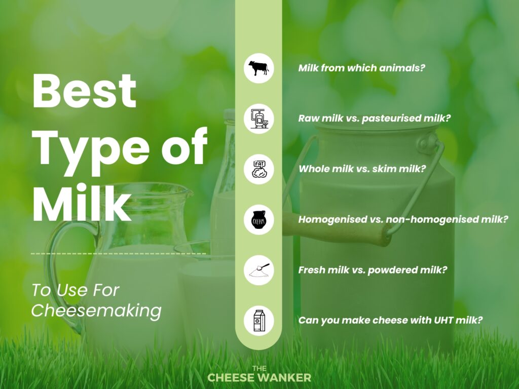 What is the Best Type of Milk for Cheesemaking