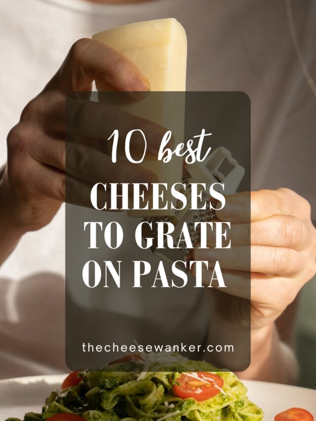 10 Best Cheeses To Grate On Pasta (Regional Italian Specialties)