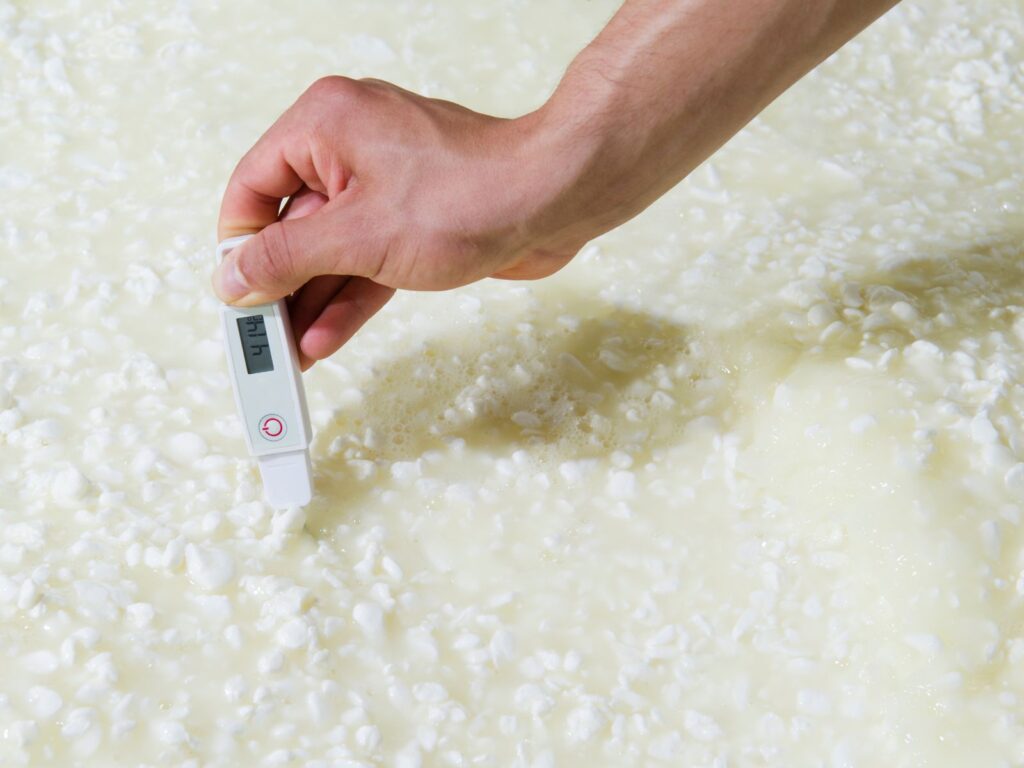 Digital thermometer measuring milk temperature