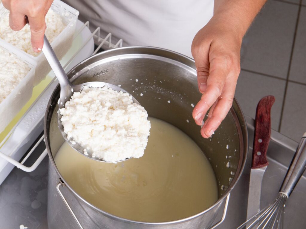 Skimmer being used to remove curds from cheese pot during cheesemaking