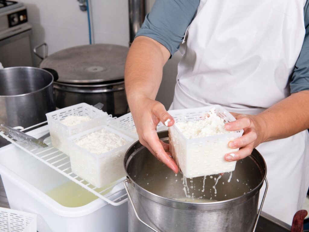 Woman draining whey from Soft Cheese Moulds 