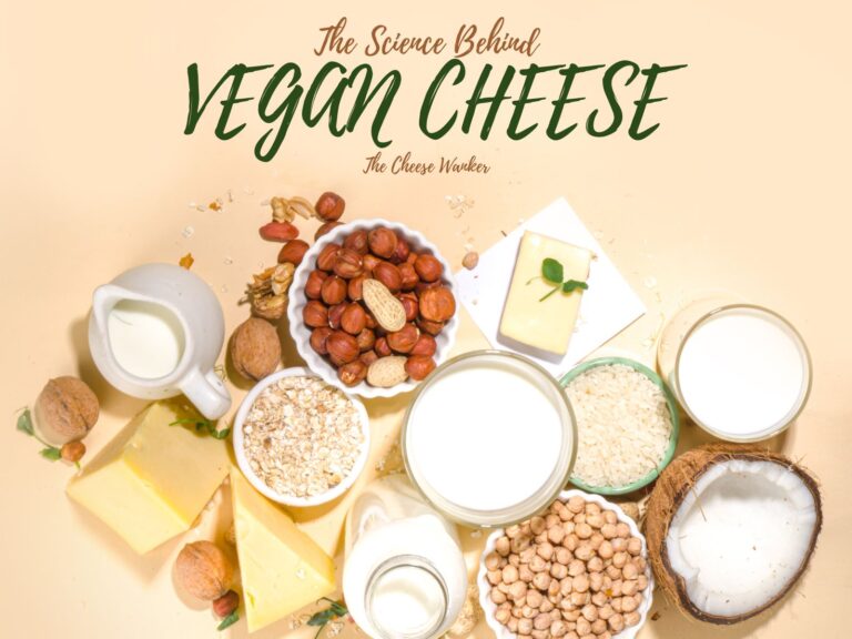 The Science Of Vegan Cheese (Attempting To Mimic Dairy Cheese)