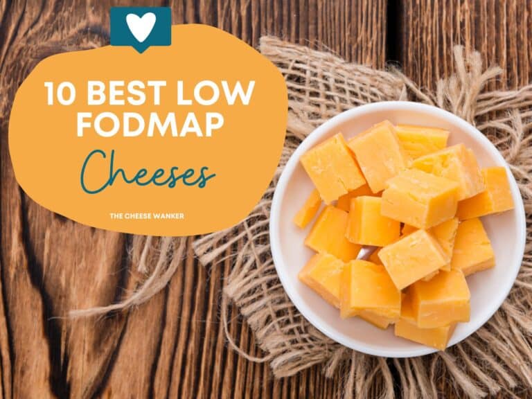 10 Best Low FODMAP Cheeses (Based On Lab Testing)