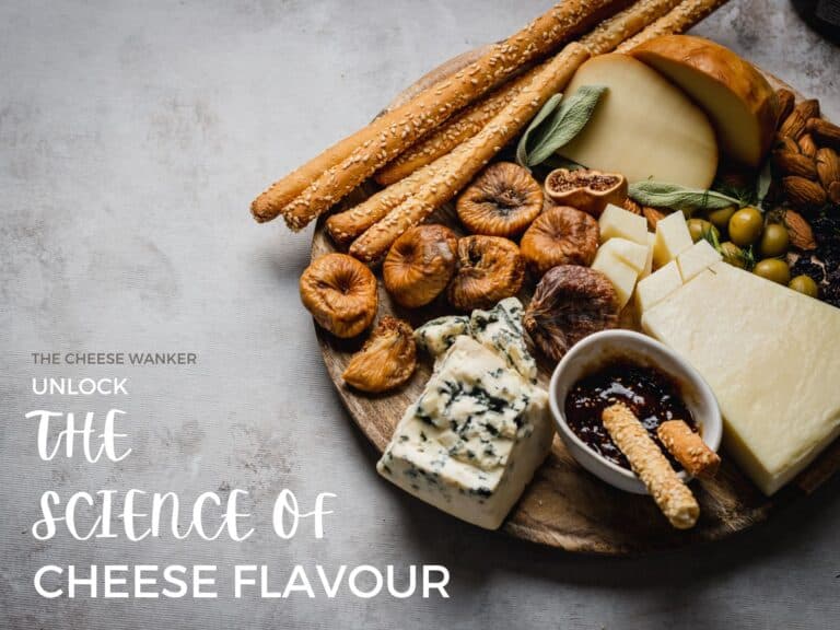 The Science of Cheese Flavour From Mild to Bold, Understanding What You Taste